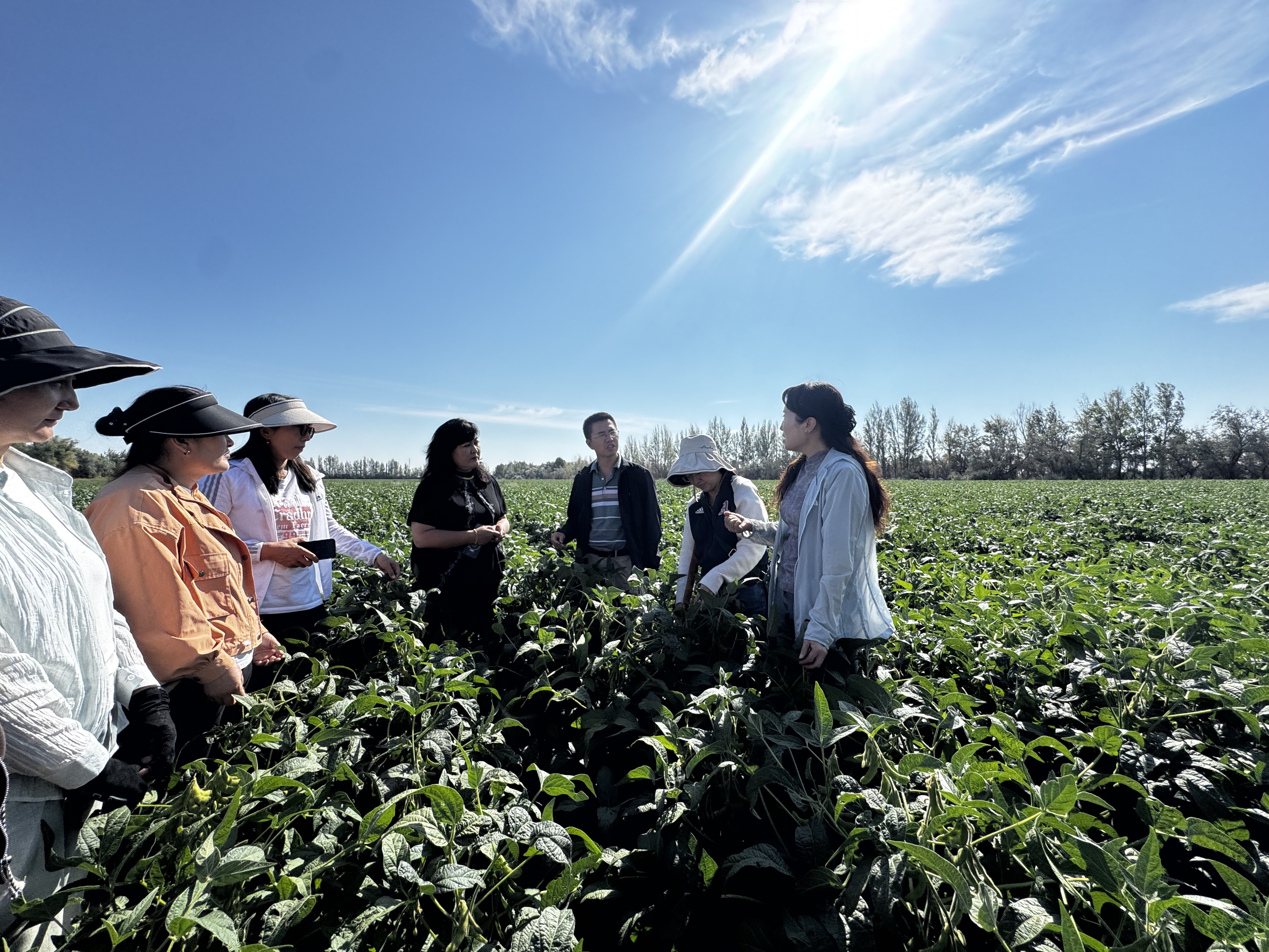 mmexport1756443257610